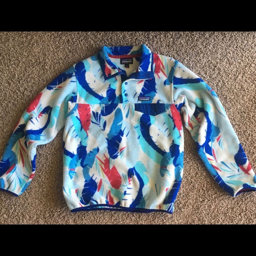 Patagonia Synchilla Fleece